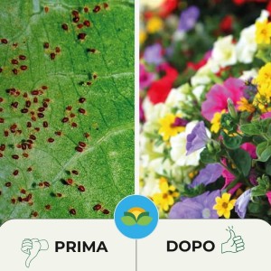 INSETTICIDA SPRUZIT PFnPO SPRAY 500 ml RTU