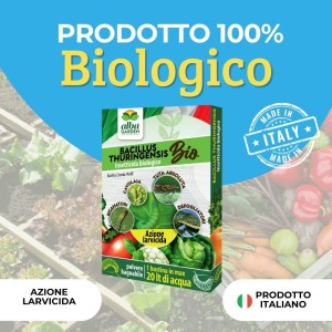 LARVICIDA BACILLUS THURINGENSIS 10 g