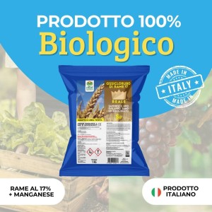 OSSICLORURO DI RAME REALE 17 - 1 Kg