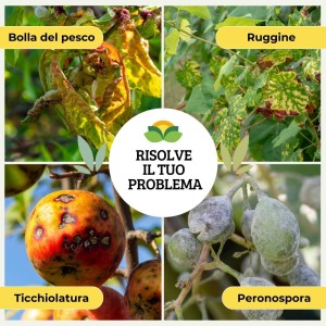 OSSICLORURO DI RAME REALE 30 - 5 Kg