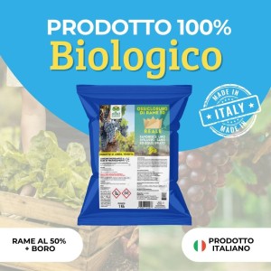 OSSICLORURO DI RAME REALE 50 - 1 Kg