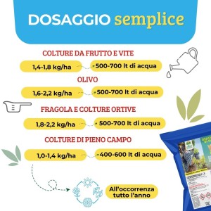 OSSICLORURO DI RAME REALE 50 - 1 Kg