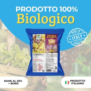 POLTI REALE 20 - 5 Kg