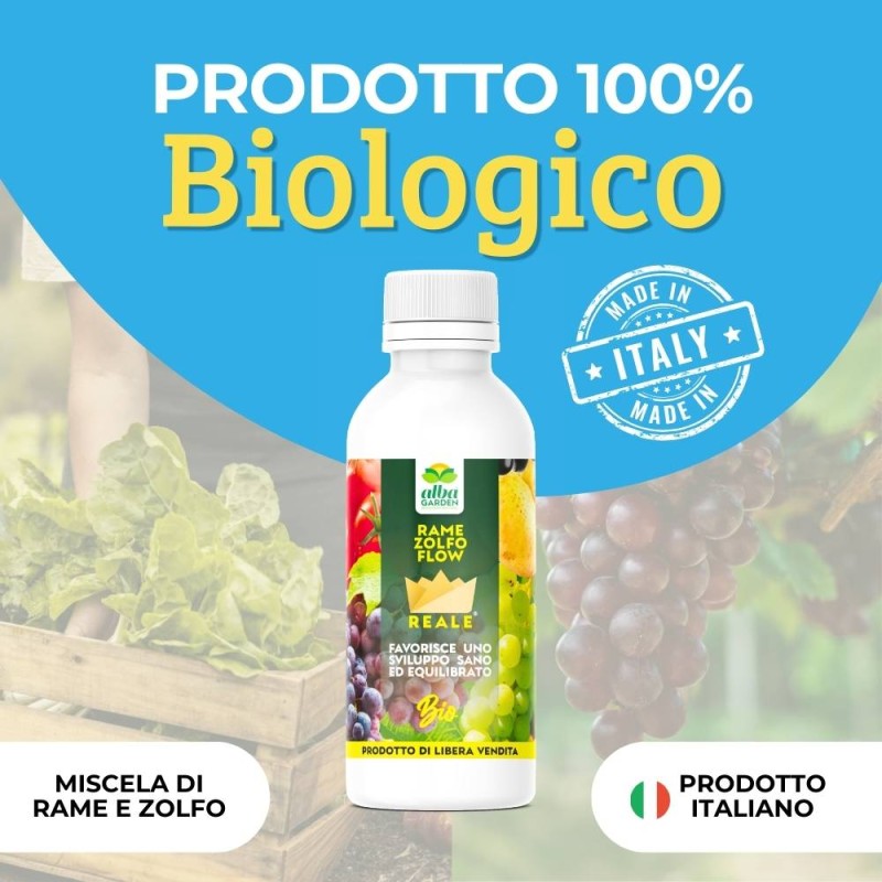 RAME ZOLFO FLOW 1 Kg | Albagarden