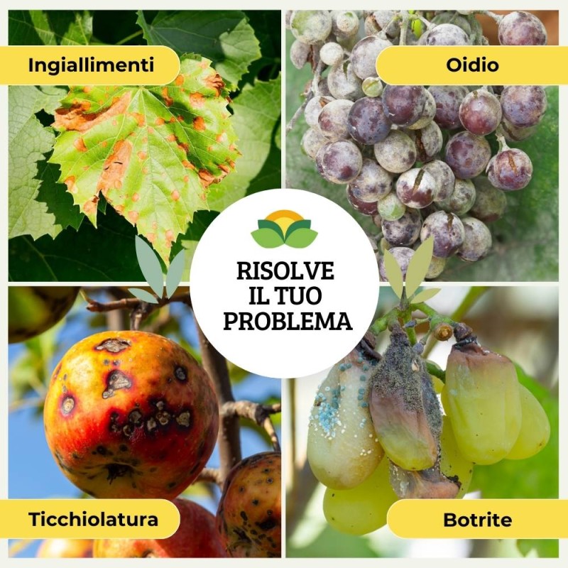 FLORTIS Zolfo Flow 300g - Trattamento Antioidico Per Piante, Fiori E Orto - Foto 12