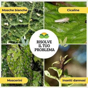 TRAPPOLA CROMOTROPICA GIALLA MOSCA BIANCA 10 pz