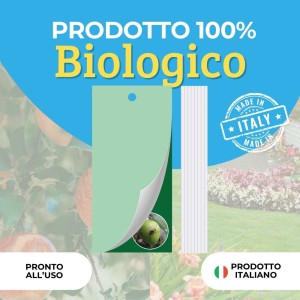TRAPPOLA CROMOTROPICA VERDE MOSCA DELL'OLIVO 10 pz