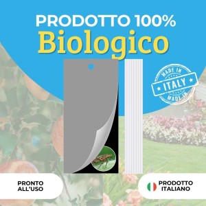 TRAPPOLA CROMOTROPICA NERA TUTA ABSOLUTA 10 pz