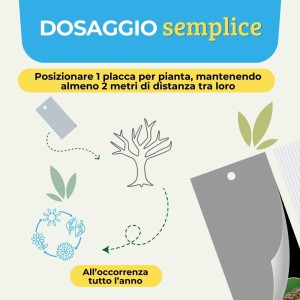 TRAPPOLA CROMOTROPICA NERA TUTA ABSOLUTA 10 pz