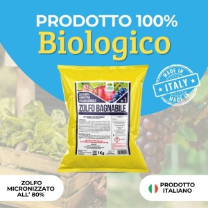 ZOLFO BAGNABILE 1 Kg