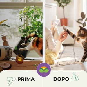 DISABITUANTE CANI E GATTI GRANULARE 1 Lt