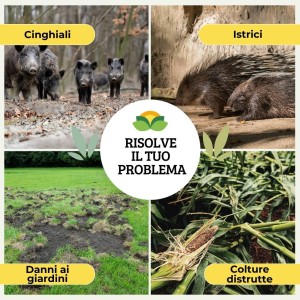 DISABITUANTE CINGHIALI GRANULARE 1 Lt