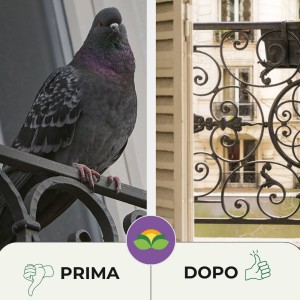 DISABITUANTE PICCIONI SFERE DI CELLULOSA 100 g