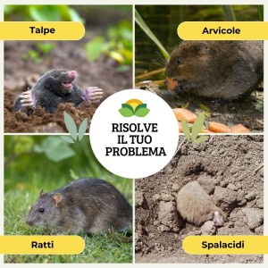 DISABITUANTE TALPE GRANULARE 1 Lt