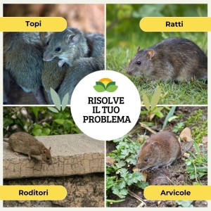 DISABITUANTE TOPI RATTI SFERE DI CELLULOSA 100 g