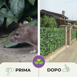 DISABITUANTE TOPI RATTI SFERE DI CELLULOSA 100 g