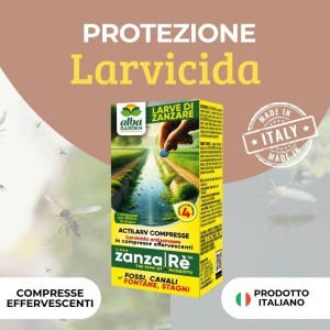 ACTILARV COMPRESSE 40 g