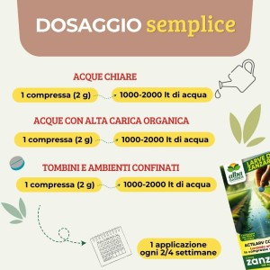 ACTILARV COMPRESSE 40 g