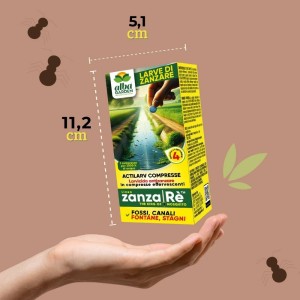 ACTILARV COMPRESSE 40 g