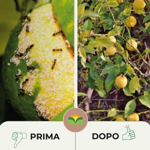 ALBAKILL ATTIVITA' AGRICOLE 5 Kg