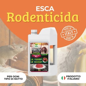 ALBATOP GRANO ROSSO 2 Kg - BR50PPM