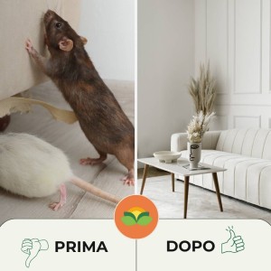 ALBATOP TRAPPOLA ADESIVA PER TOPI AROMA FORMAGGIO 24 pz (12 Conf.)