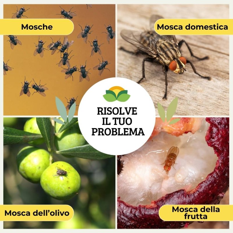 Foglio Mosca Integrato Amigo – Horseware – Coperta Antimoschee Per Cavalli