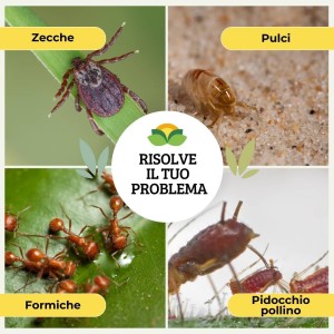PULPIZEK ALLEVAMENTI POLVERE 1 Kg - Busta