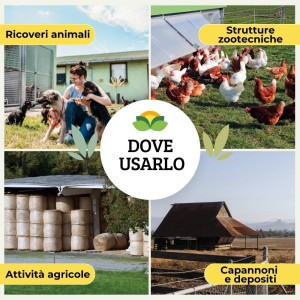 PULPIZEK ALLEVAMENTI POLVERE 1 Kg - Busta