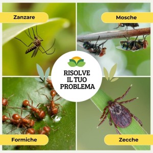 ZANZAKILL MOSCHE E ZANZARE SPRAY 500 ml