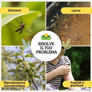 LARVICIDA BACILLUS THURINGENSIS ZANZARE 10 g