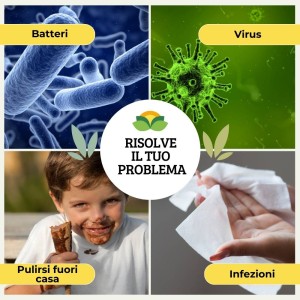 SALVIETTA DISINFETTANTE 1 pz