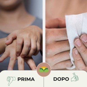 SALVIETTA DISINFETTANTE 1 pz