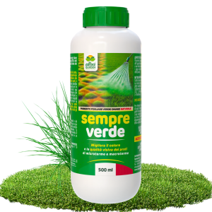 SEMPRE VERDE 500 ml