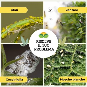 BASTONCINI DI NEEM BIO 50 g (25 pz)