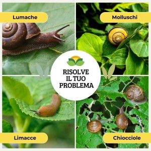 BARRIERA LUMACHE NATURALE CON OSSIDO DI FERRO 2 Kg
