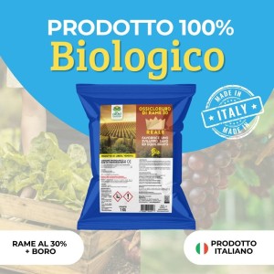 OSSICLORURO DI RAME REALE 30 - 1 Kg
