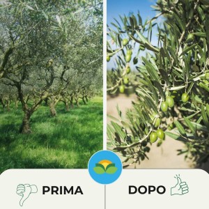 OSSICLORURO DI RAME REALE 30 - 1 Kg