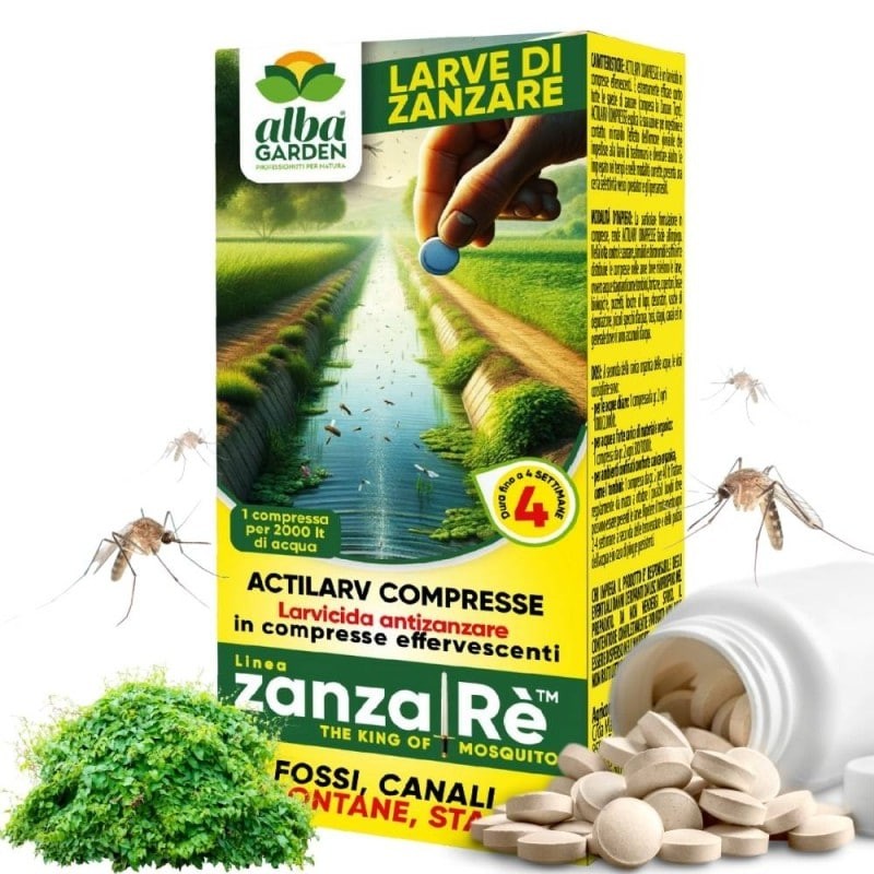 ACTILARV COMPRESSE 40 g