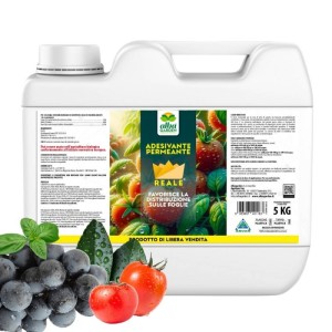 ADESIVANTE PERMEANTE 5 Kg