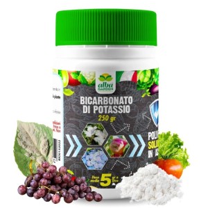 BICARBONATO DI POTASSIO 250 g
