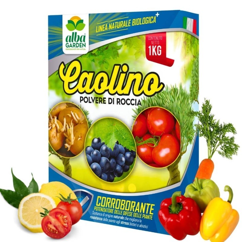 CAOLINO POLVERE DI ROCCIA 1 Kg