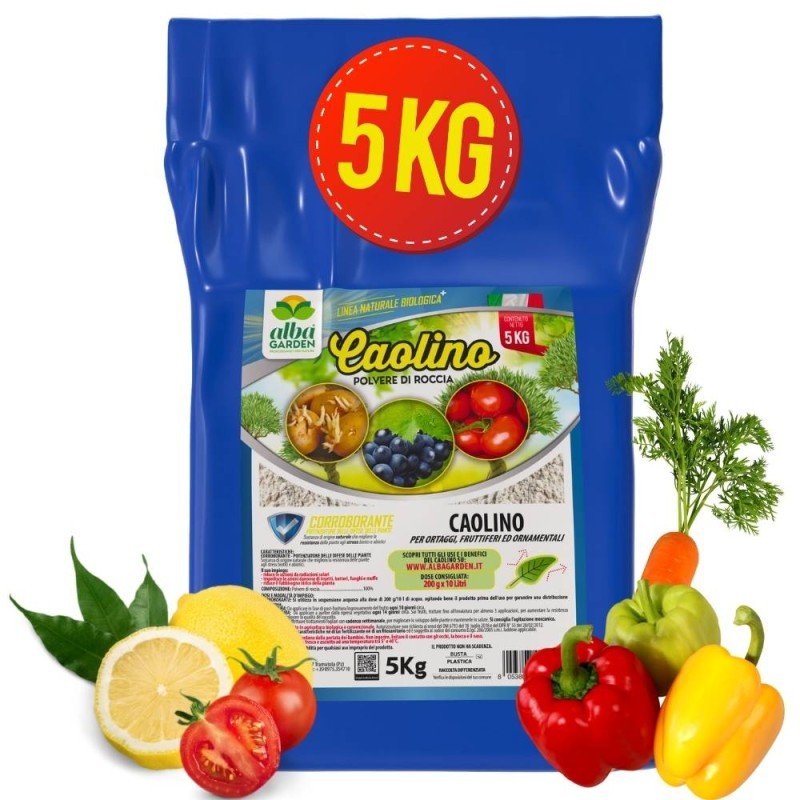 CAOLINO POLVERE DI ROCCIA 5 Kg CAOLINO POLVERE DI ROCCIA 5 Kg