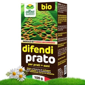 DIFENDI PRATO MICORRIZE 100 g