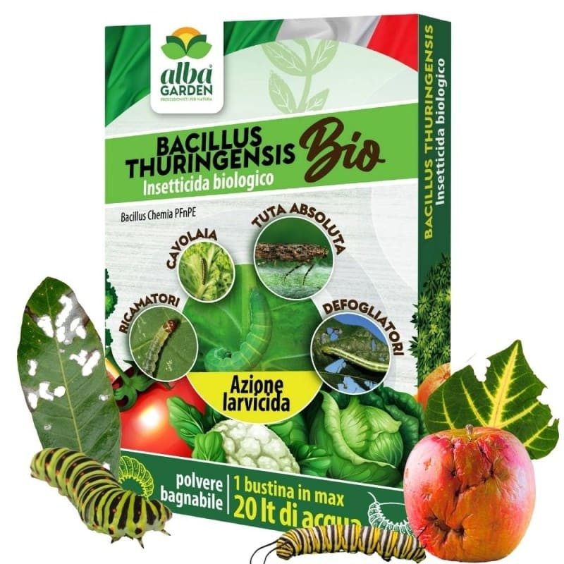 LARVICIDA BACILLUS THURINGENSIS 10 g