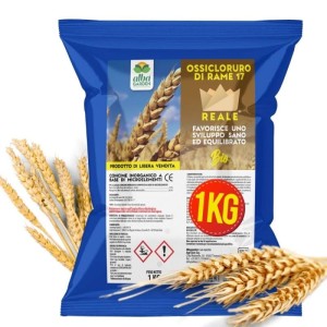 OSSICLORURO DI RAME REALE 17 - 1 Kg