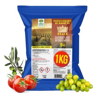 OSSICLORURO DI RAME REALE 30 - 1 Kg