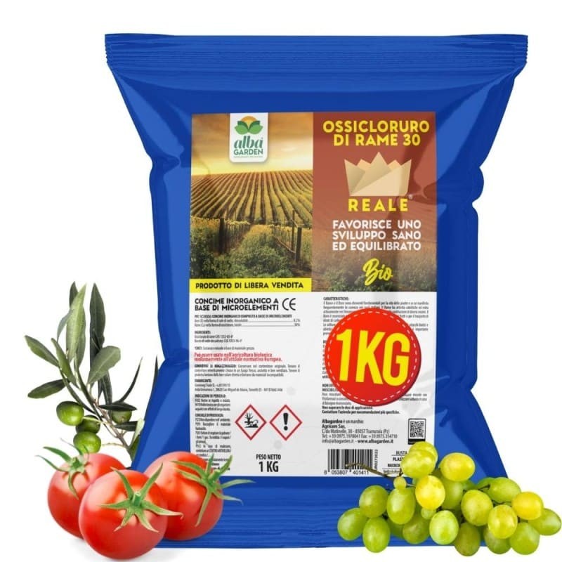 OSSICLORURO DI RAME REALE 30 - 1 Kg OSSICLORURO DI RAME REALE 30 - 1 Kg