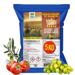 OSSICLORURO DI RAME REALE 30 - 5 Kg