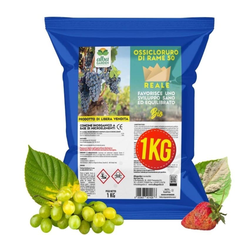 OSSICLORURO DI RAME REALE 50 - 1 Kg